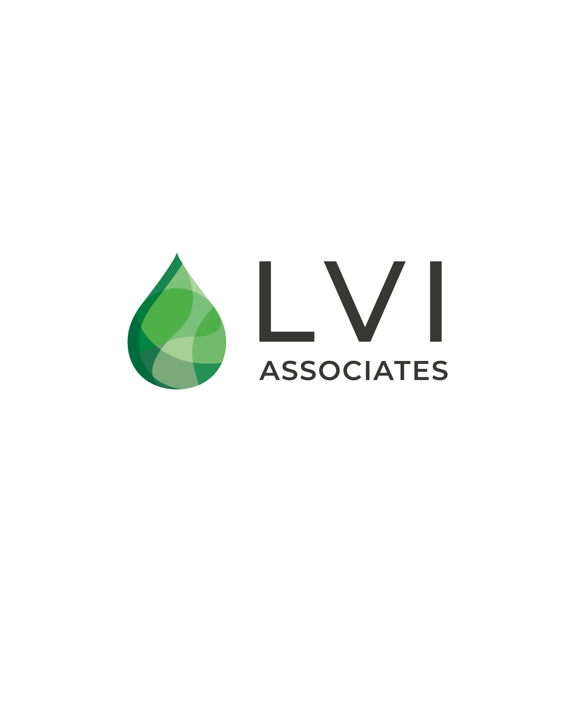 New Lvi Logo Smaller